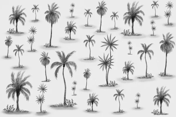 Elegant Palm Tree Sketch Wallpaper